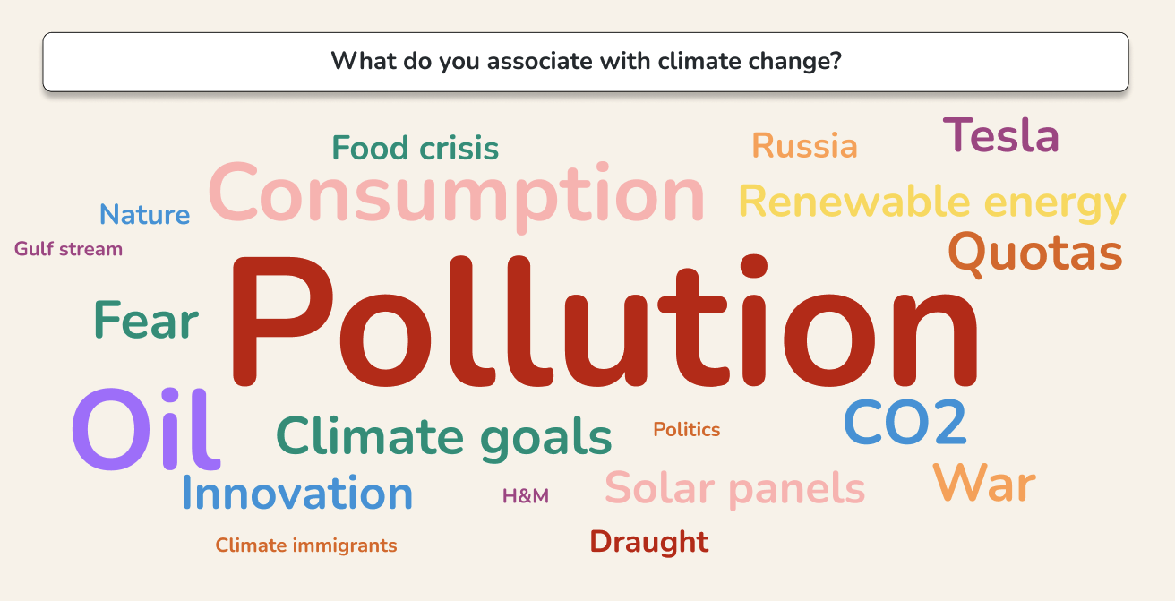 image of a wordcloud result